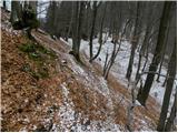 Spodnja Besnica (Ribogojnica) - Špičasti hrib